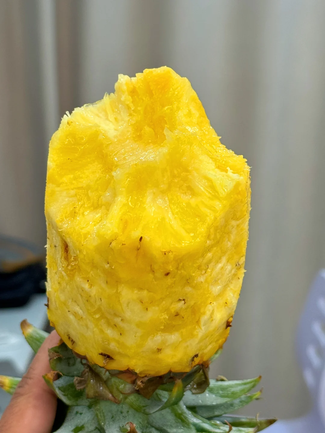 吃凤梨的尽头，就是直接抱着啃！爽到爆！