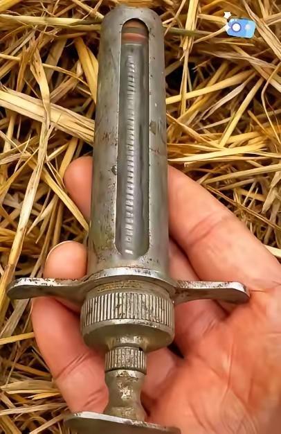 见过这个东西至少是70后，小时候你被这玩意儿吓过吗？迷惑老物件 童年老物品 野外