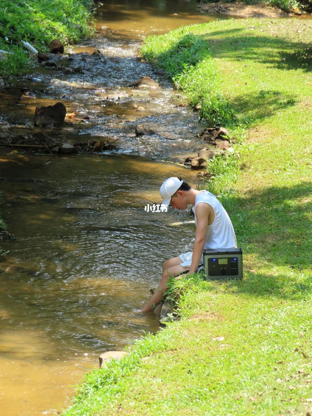 不出东莞🌳小众又治愈的森林秘境