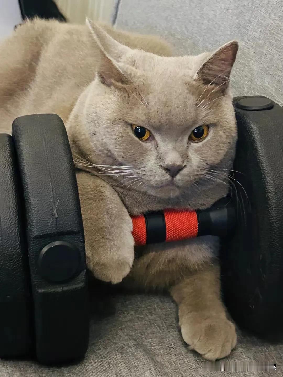 闷声发大财的行业，你都知道几个

第一、殡葬业
生老病死，明明死了之后什么也拿不