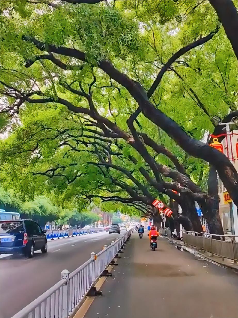 创业和深耕副业越久，越看透一个扎心真相：
所有普通人的翻盘，拼的从来不是一时的爆