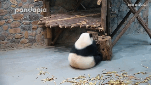 我是边台～～ 爱看屁屁\(//∇//)\～～～ ​​​