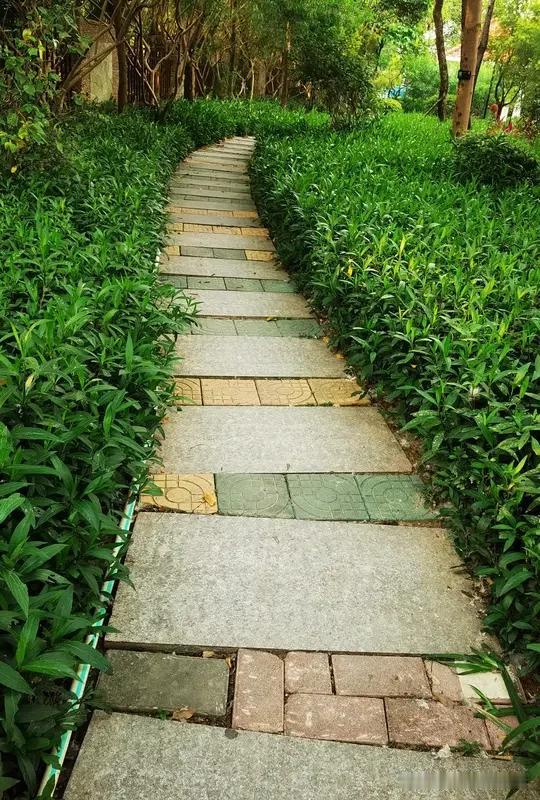沿着小路快走加慢跑四十分钟，晚风一吹，白天积攒的疲惫和烦躁都跟着散了。中途停下来