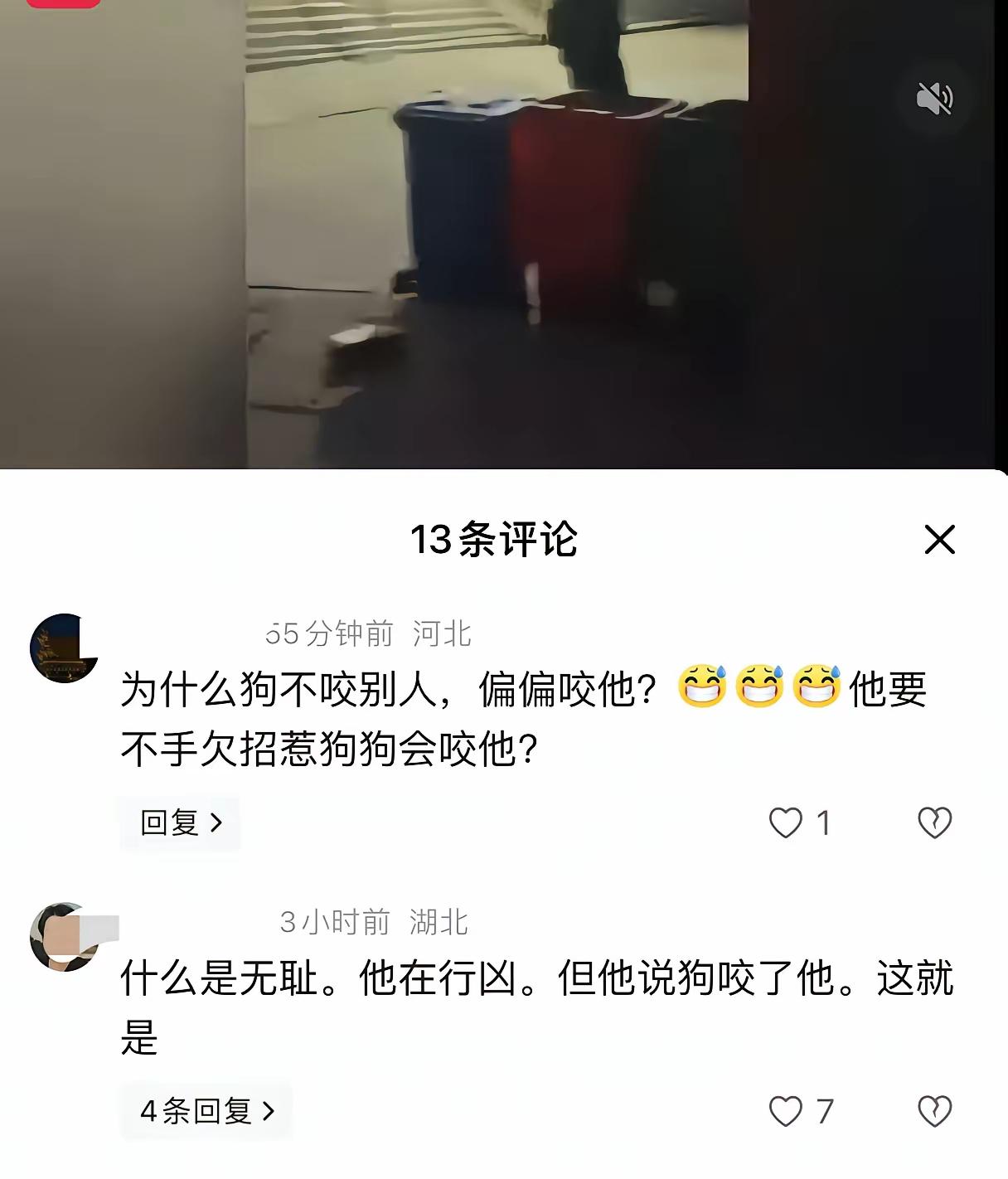 如果是流浪狗咬人，打狗没毛病，网上的狗也可以打。