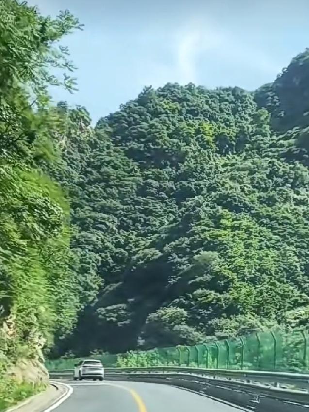 他们为了自己喜欢的歌手而抛开日常工作，跨越城市，只为去奔赴一场演唱会。
这让我觉