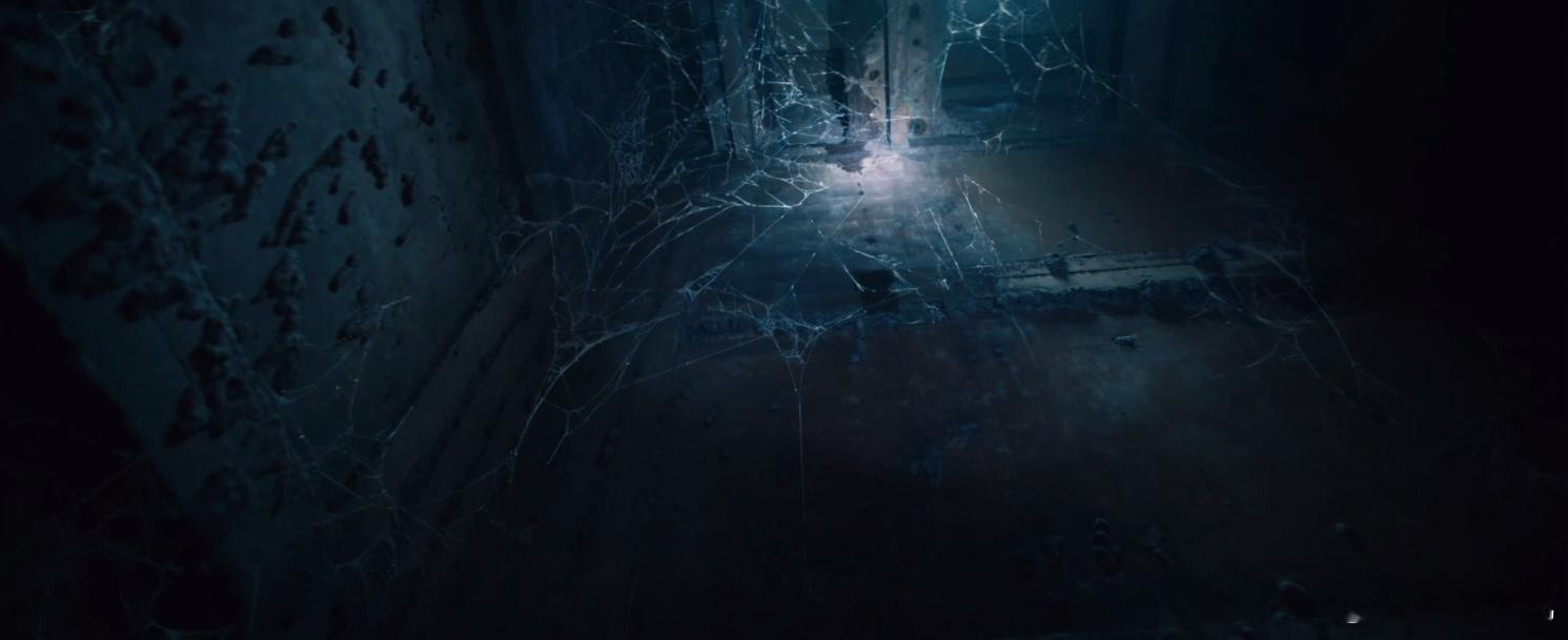 女子患病认为自己是蜘蛛《剥茧》高能预警！李淑婷竟是隐藏凶人，因患病坚信自己是蜘蛛