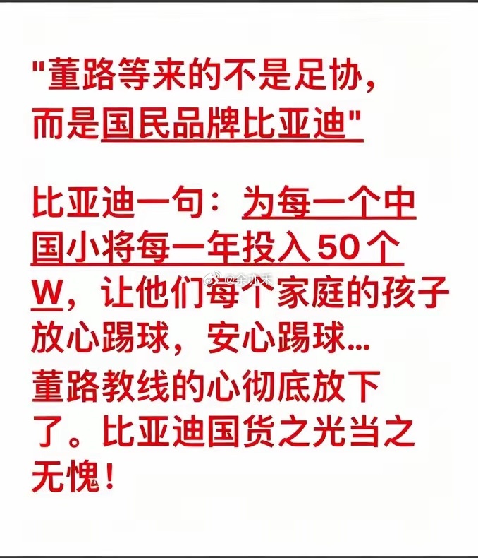支持比亚迪