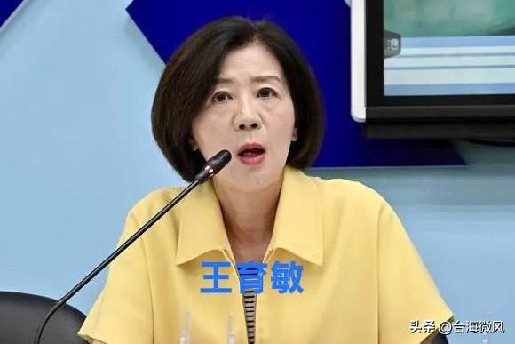 主委撂挑子走人，嘉义县选举徒增变数？
王玉敏撂下党部主委担子，不敢上阵拼县长，等