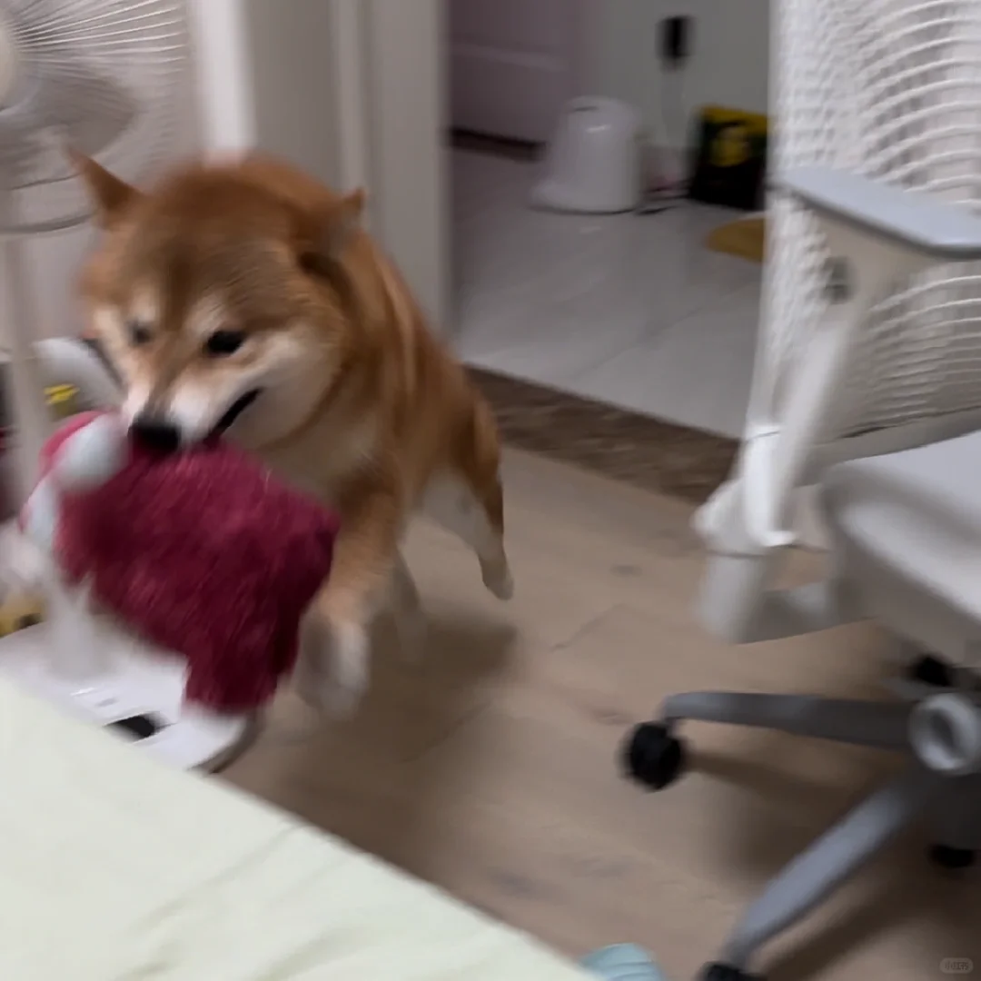 陪！我！玩！