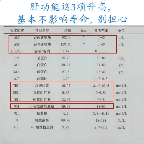 肝功能这3项升高，基本不影响寿命，别担心