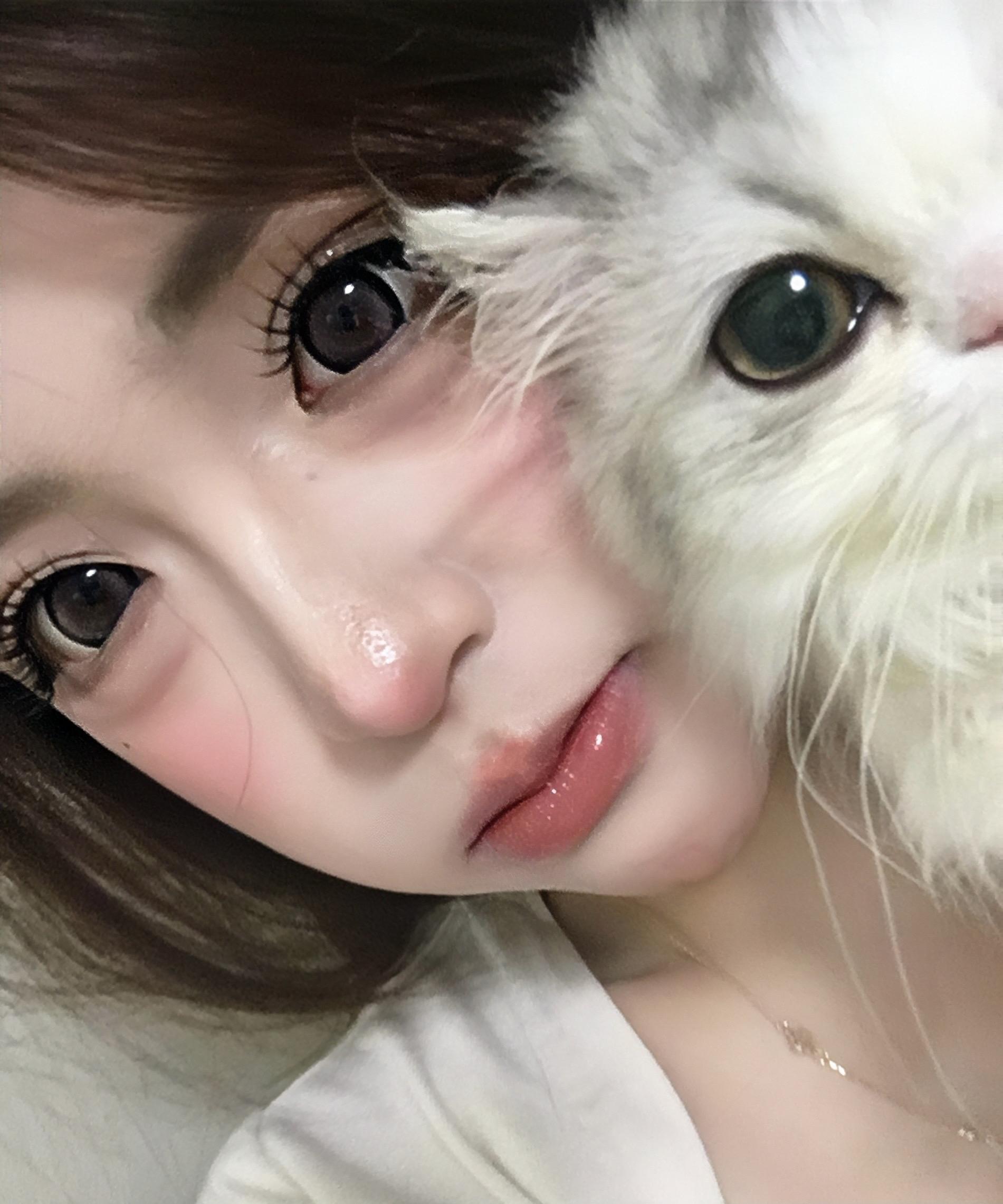 和🐱。