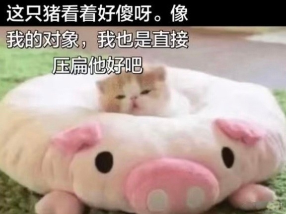 【今日晴】锐因概念 