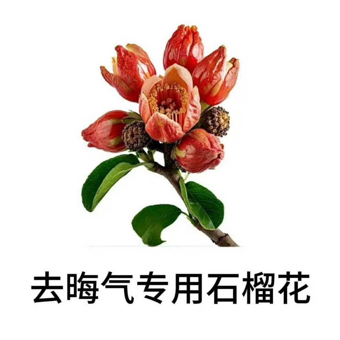 最近是咋了去去晦气 