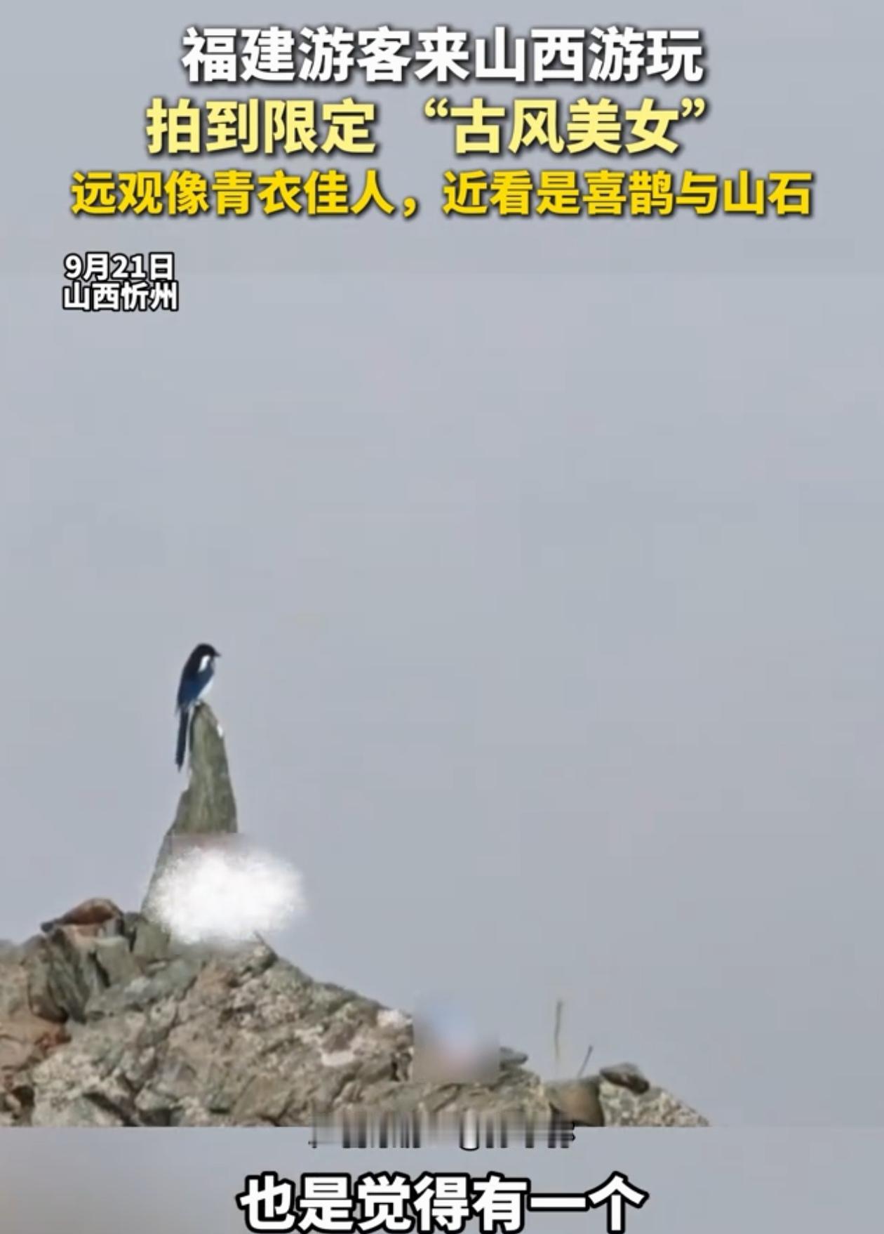 难得一见！山西忻州，男子去景区游玩，远远看见崖边好像有一个青衣古风美女站在那里，