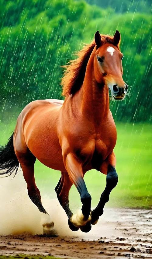 我的创意下联可以是：
1、马驰大道通昌运[碰拳]春满神州启瑞程‌。
2、马驰大道