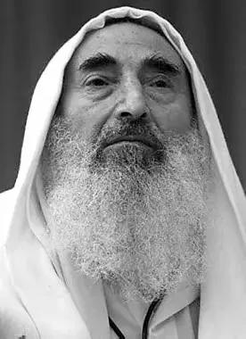 如果亚辛，哈尼亚，辛互尔可以做民巴勒斯坦的民族英雄，请问他给这个民族和一世界究竟