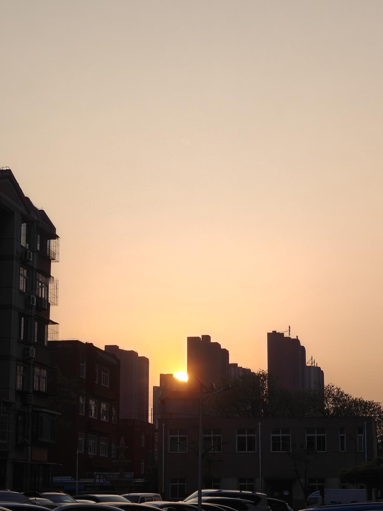 春日生活打卡季旭日东升