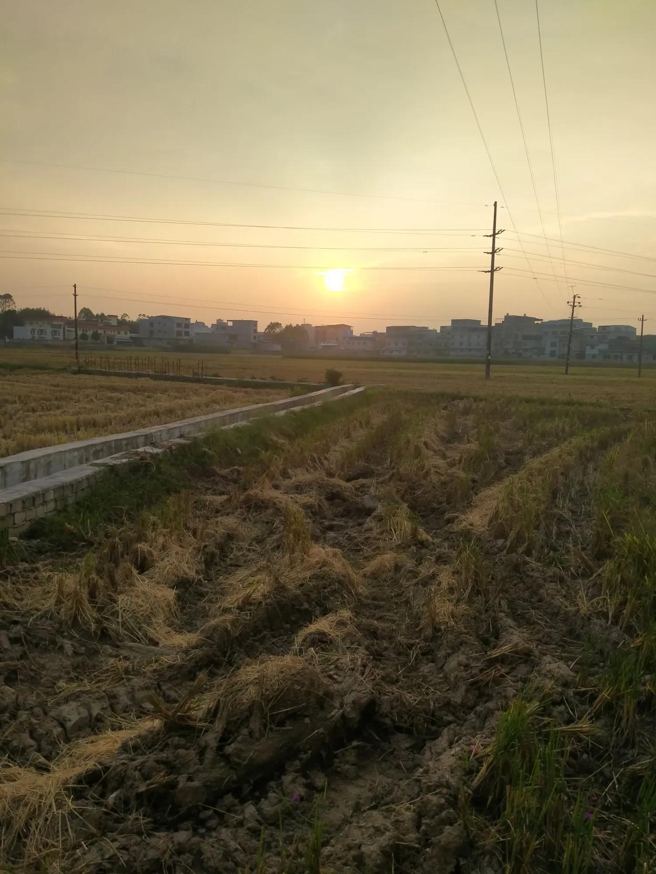 #我拍到的落日瞬间#夕阳缓缓西沉，我们闲适地漫步，沉醉于晚霞那柔和的光芒之中。天