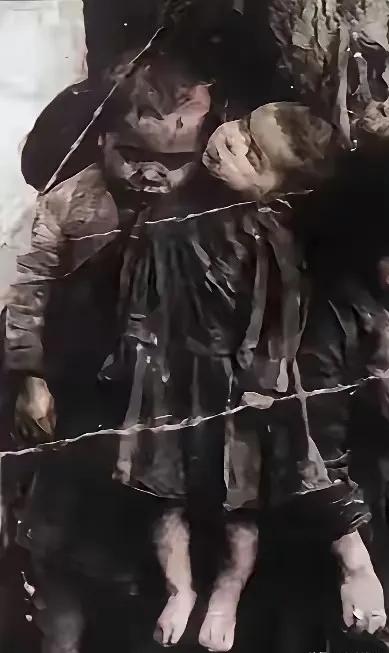 1937年的南京icon冬天，几根生锈的铁丝，死死勒进了几个三四岁娃娃的肉里。