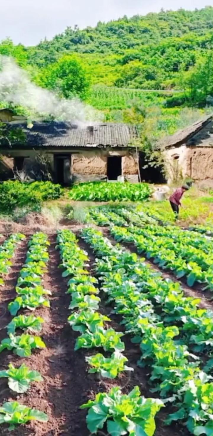 高市早苗还真有可能成为中日冲突的导火索。2025年11月7日，她在众议院预算委员