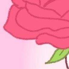 每日一善  种植 银莲花：一、种植时间最佳种植时间为8月至10月（秋季）或3月至