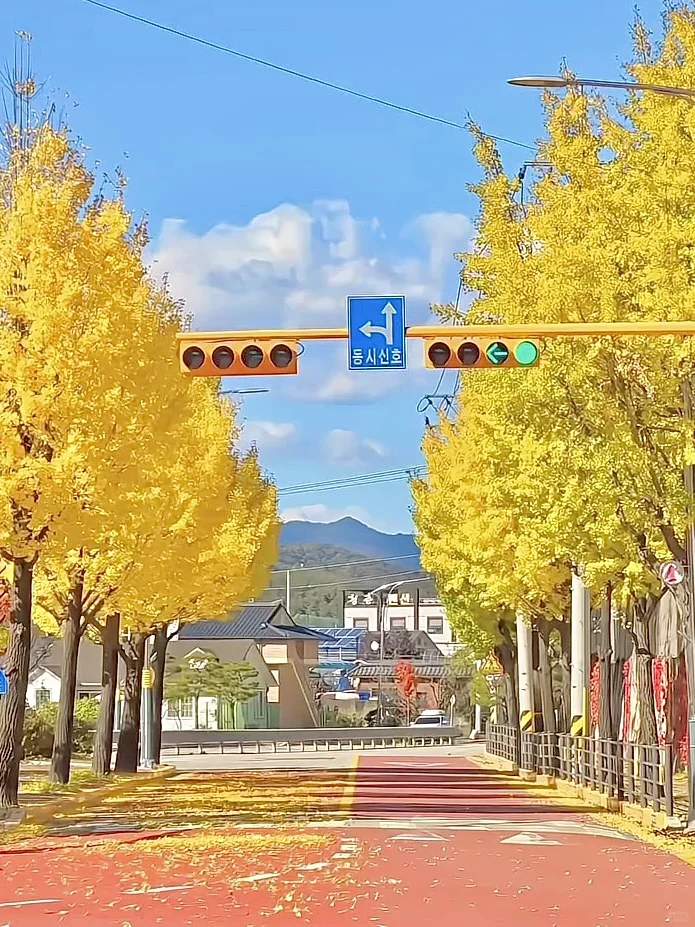 🇰🇷江原道乡村的秋天🍂💛