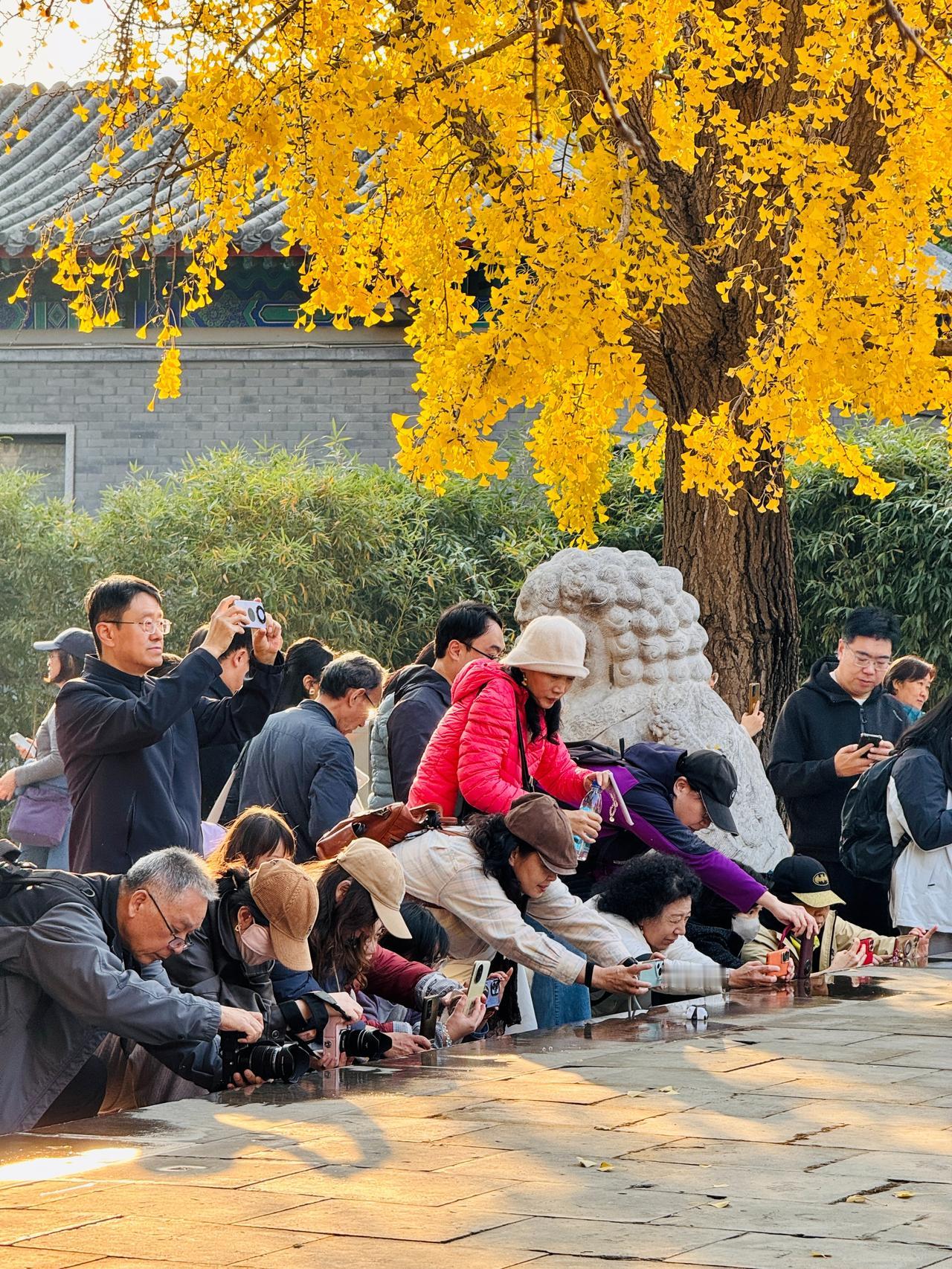 他们究竟都在干什么？这才是北京秋天顶级的快乐，千万别错过！

依我之见，稍纵即逝