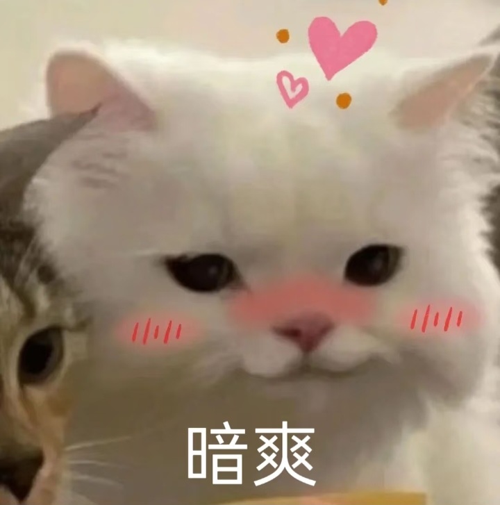 粉丽君好幸福好事一桩接一桩 
