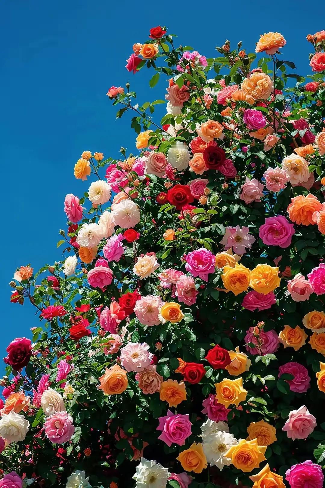 发现一个问题，只要是住院，在普通病房里，一般住院10天左右，医生就劝着可以出院了