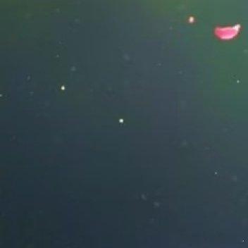 阳光信用阳光信用阳光信用 把节奏放慢，认真过好当下的每一天。不必追赶别人的脚步，