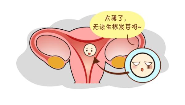 #健康真探社#【子宫内膜薄，会影响怀孕吗？】正常情况下，子宫内膜会随着月经周期变