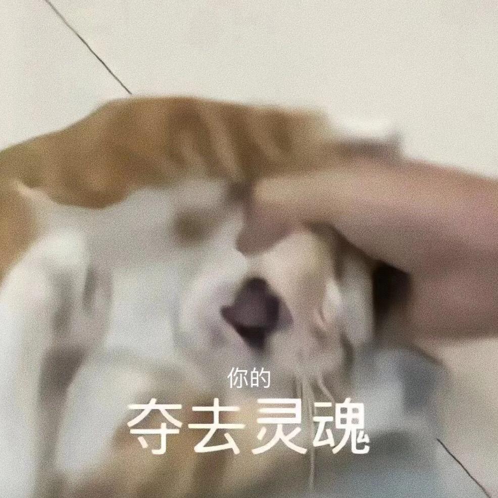 分享一些可可爱爱的沙雕表情包。表情包