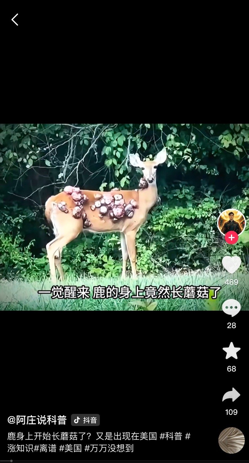 美国现身上长满疣体的变异鹿“美国现身上长满疣体的变异鹿”是指美国多州发现身上长有