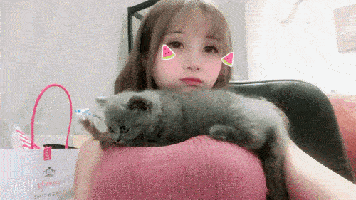 女生为什么喜欢养猫？
核心源于猫咪的特质与女性情感需求的契合。
首先，猫咪自带“