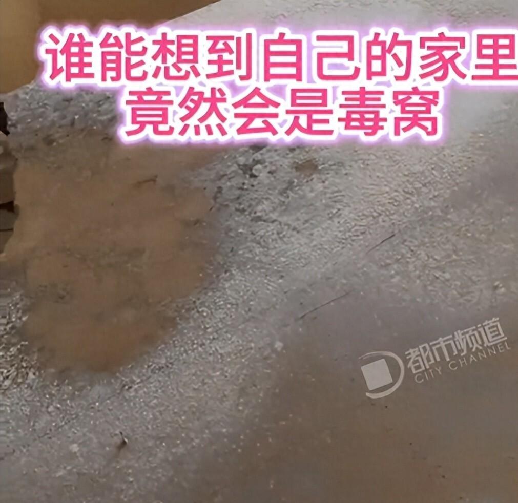 孩子咳了三年，拆开衣柜背板那一刻她没说话
9月24日，山东一位网友把自家衣柜最底