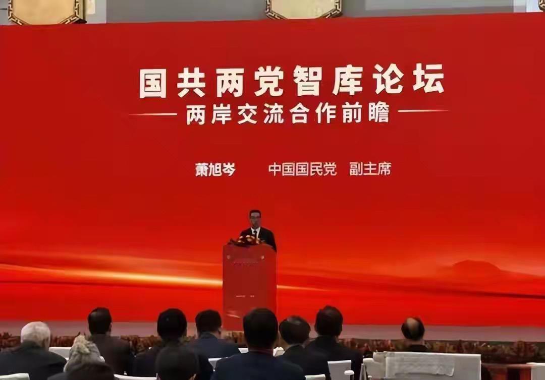 国民党访京  多方搅局难挡两岸大势

台湾党派之争 萧旭岑  台北商谈会 台北2