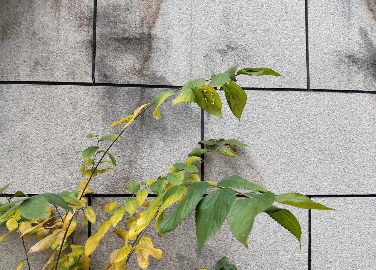 郭德纲这辈子可能都当不了好主持人。
但撒贝宁们放下话筒，随时能给你碾压强段子。