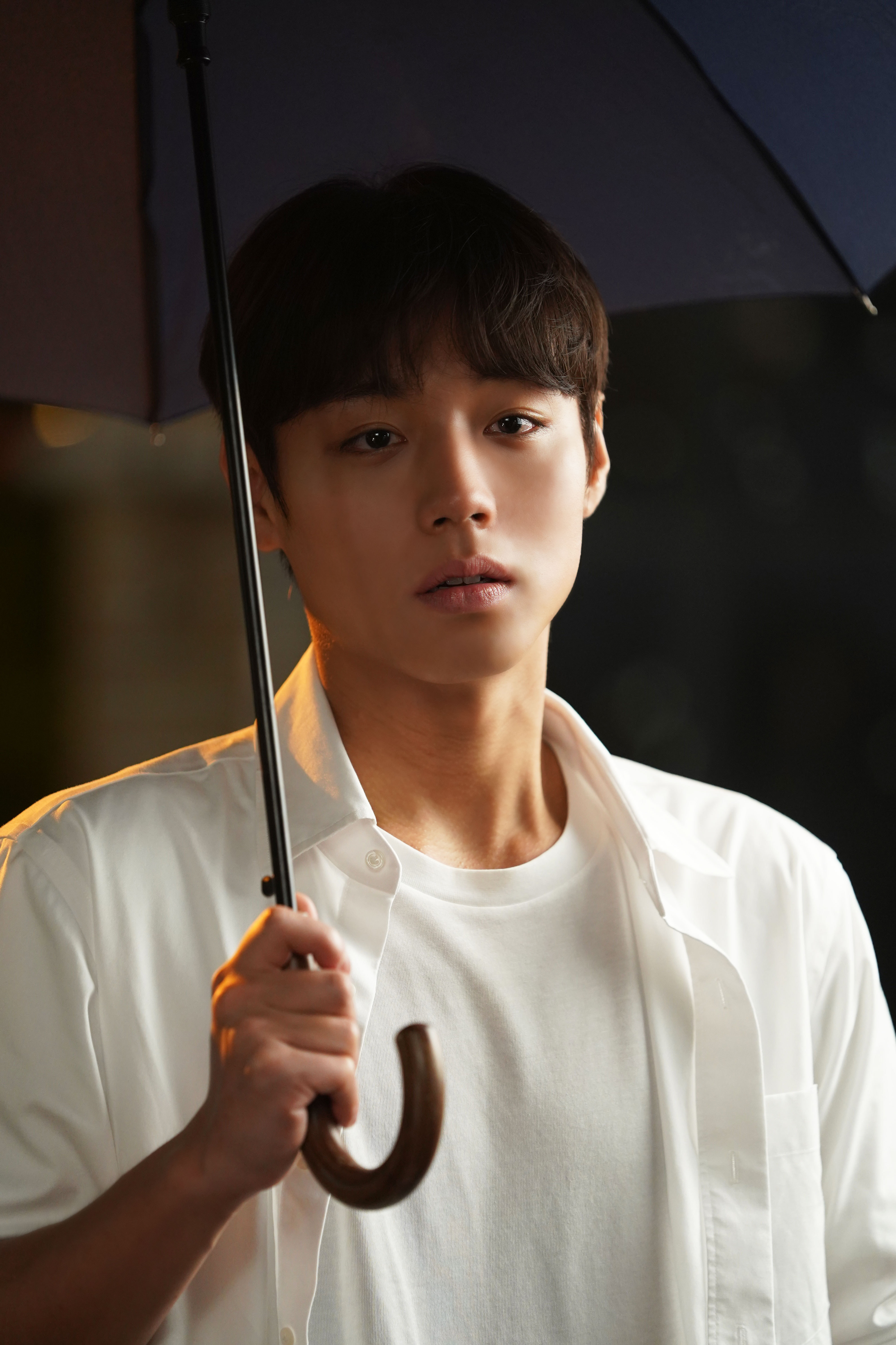 朴志训 ✨ 陪朴志训走花路 260618 YY Naver Post更新1张图?