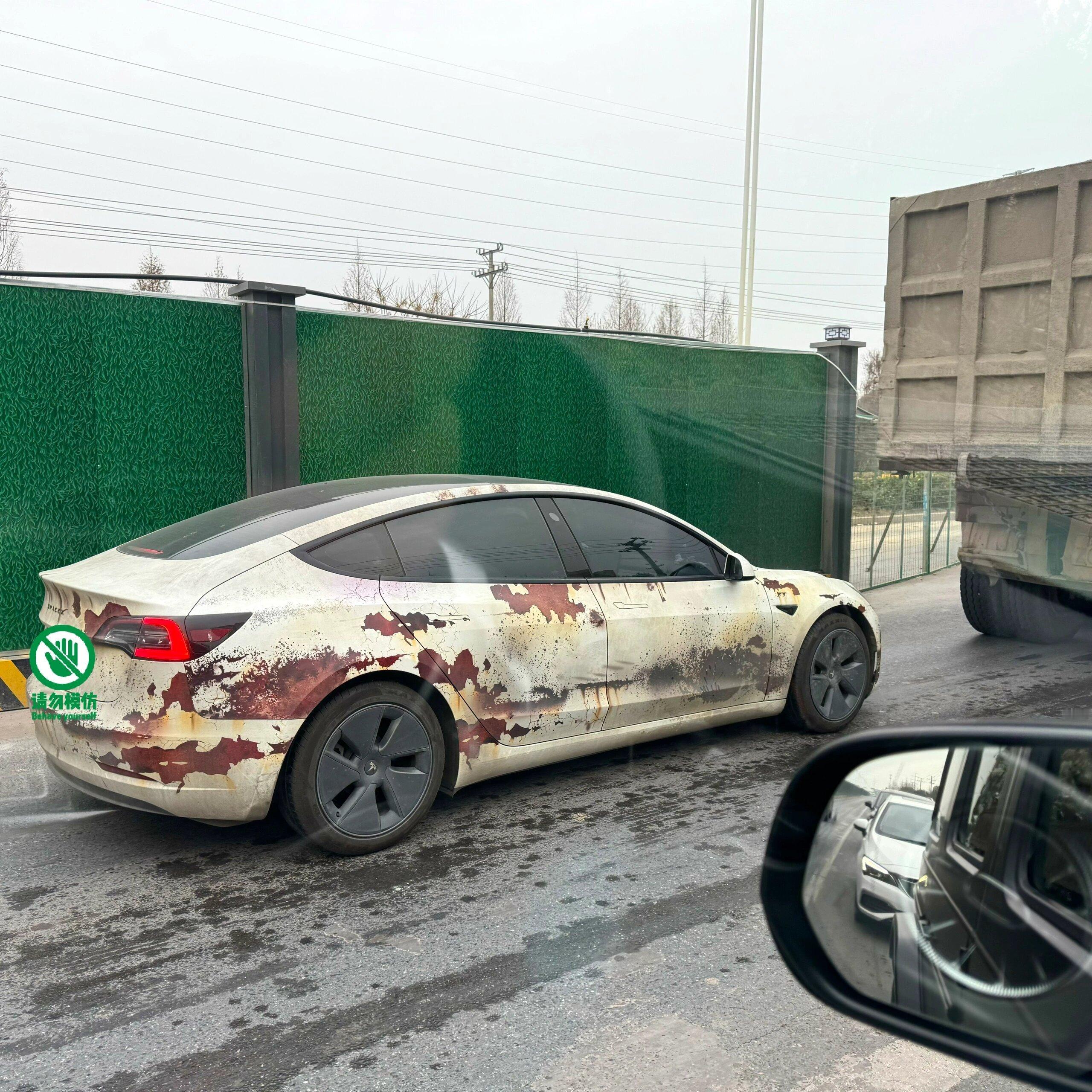 电车搞外观这块，找特斯拉车主还是比较可靠的[老师好] ​​​