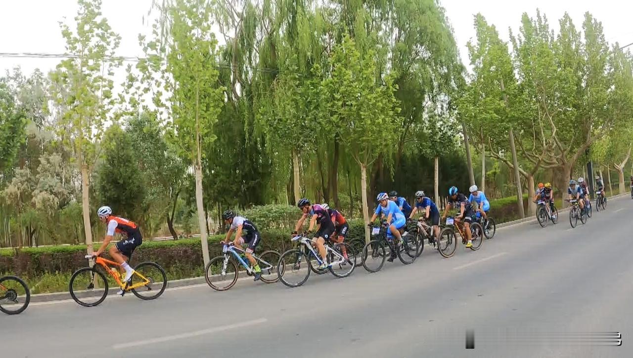 2025年中国自行车运动骑游大会（湖系列）首次登陆新疆沙雅！这场国家级赛事由中国