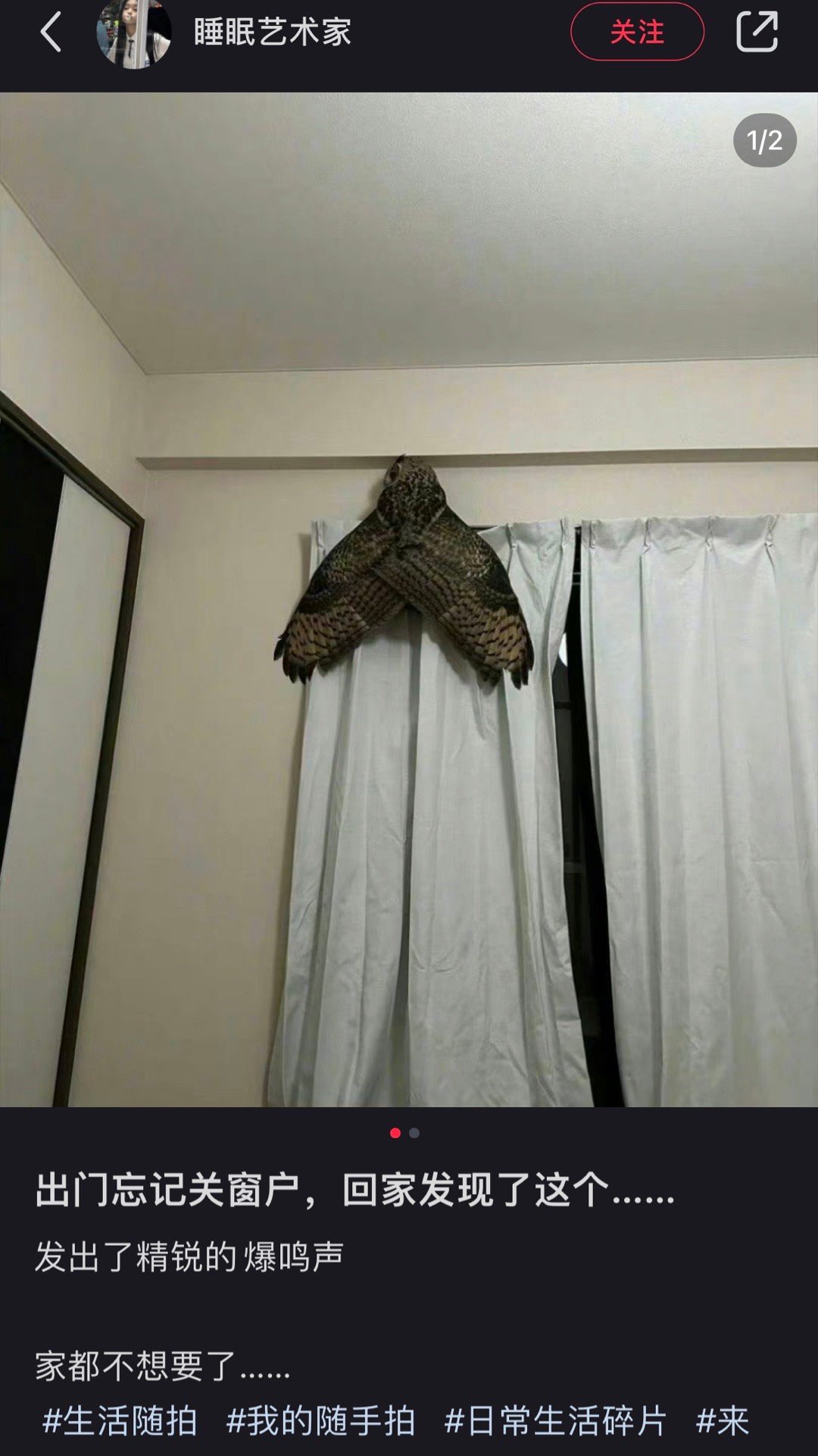 是我的话看到得被吓死 ​​​