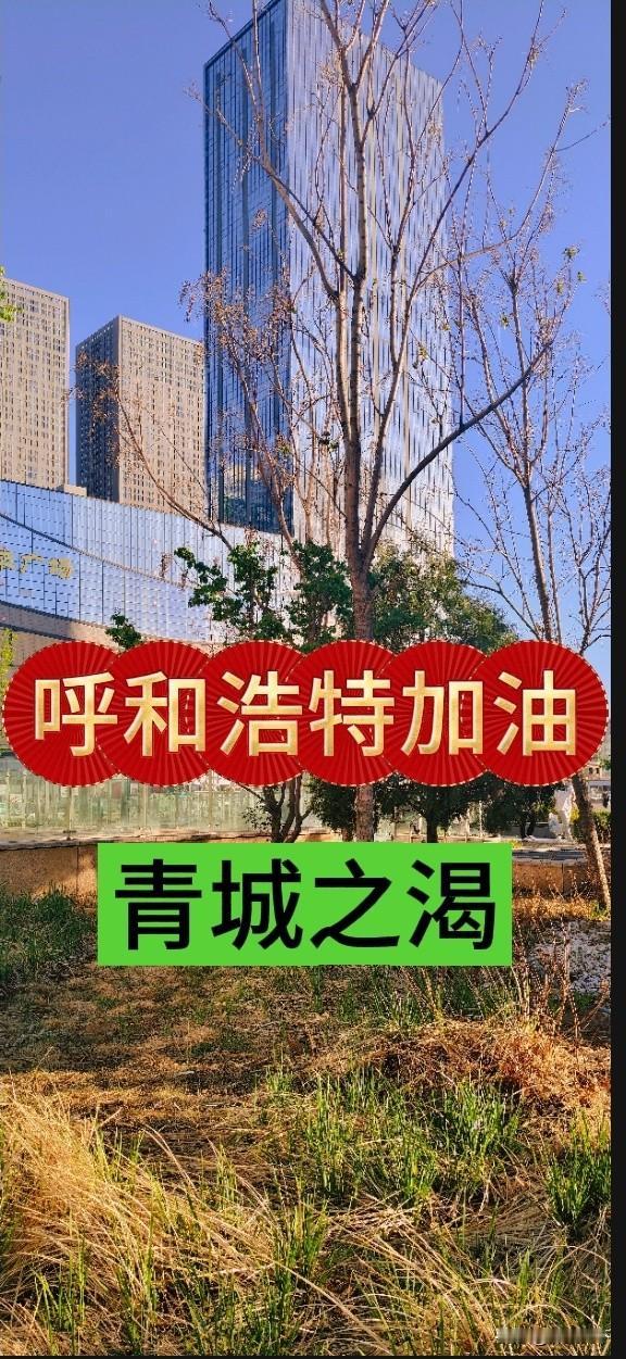 青城之渴：当高楼遇见枯草

呼和浩特的春天总是姗姗来迟，今年不仅带着一丝粗粝的倔