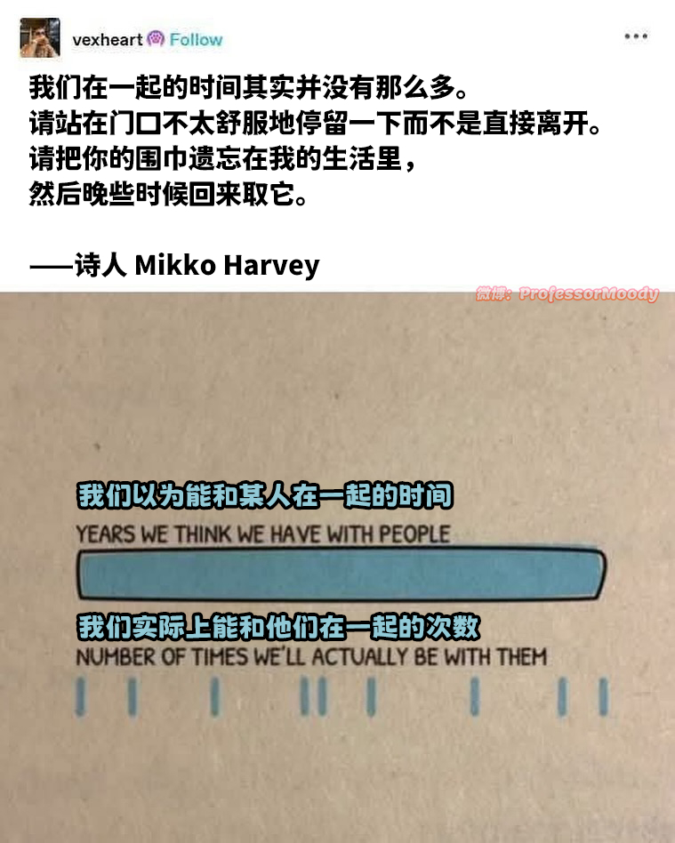 多看看他们两眼吧💭 