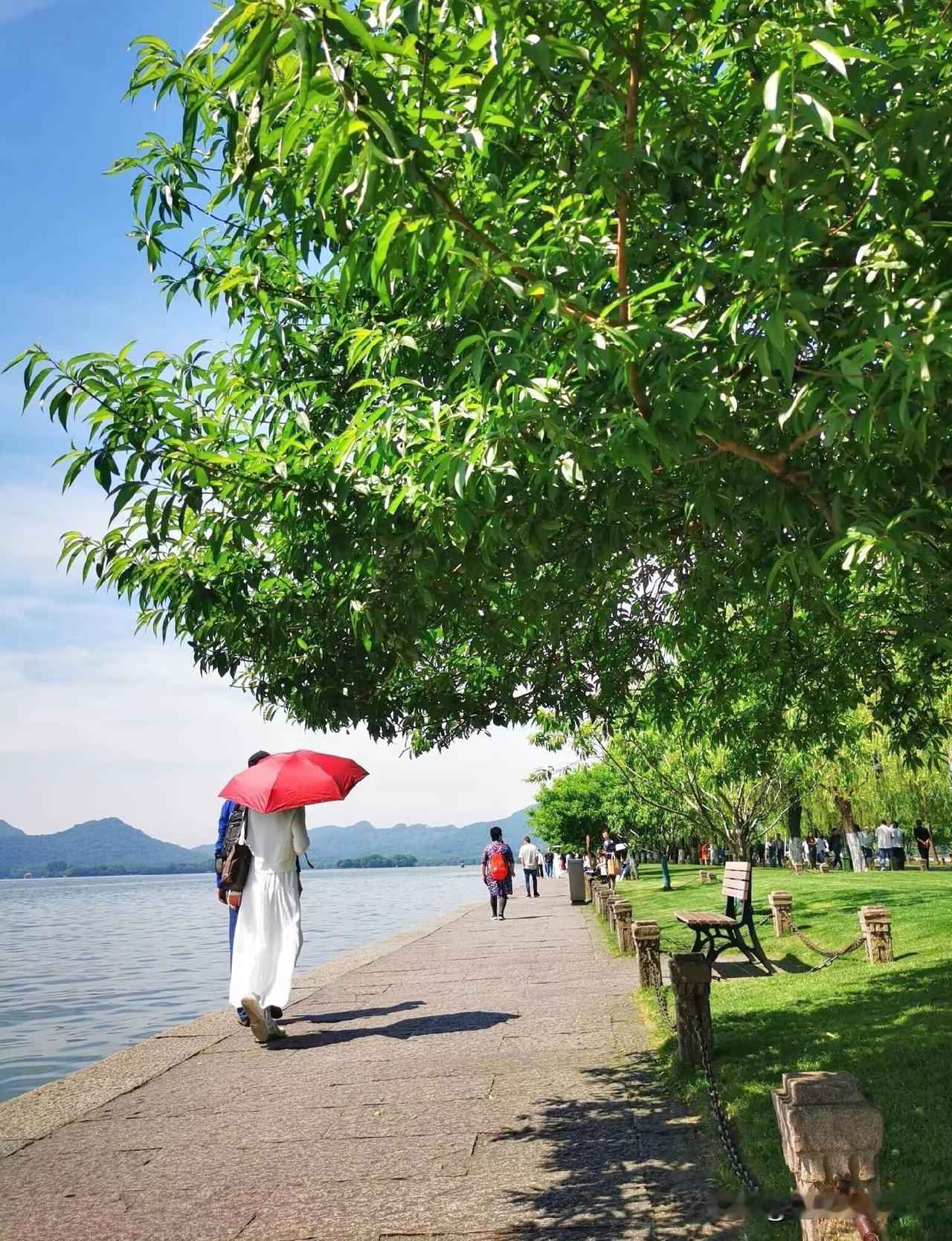 五一长假后白堤，游客明显减少，杨柳、桃树郁郁葱葱，一片生机勃勃的景象，‌白堤东端