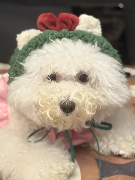 有没有祛黄胡子的产品呀～跪求❤️