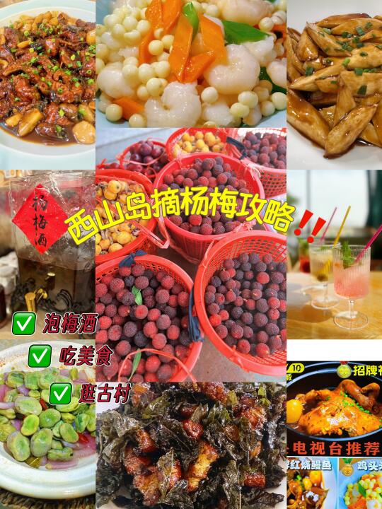 西山岛杨梅采摘全攻略，吃完美食再出发！