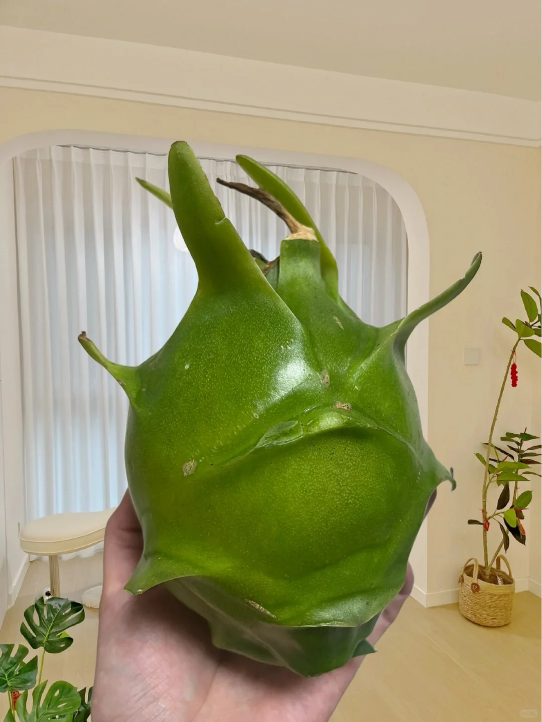 去痘印成功上岸！！总结的经验全都在这了