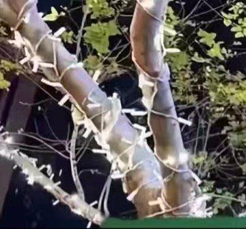 入了心的人，怎么能说忘就忘。 