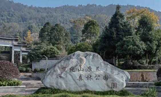 游芦山罗纯山记
 
蜀中芦山，山水清幽，佳境遍布。城东十里，罗纯山巍然矗立，亦名