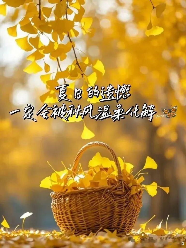 🌴𝐇𝐢 𝑺𝒆𝒑𝒕𝒆𝒎𝒃𝒆𝒓🎀愿九月有恰到好处的忙碌，也